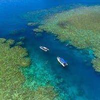 whitsundays snorkelling