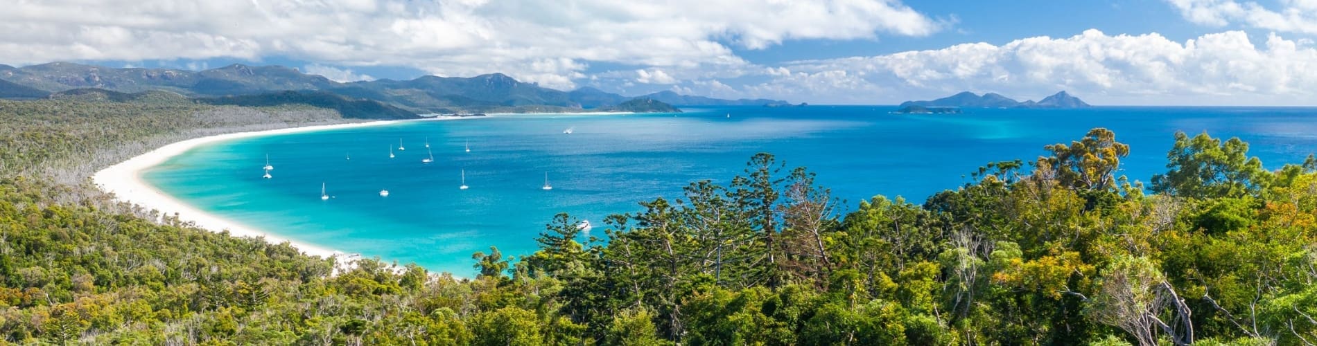 whitehaven beach tours