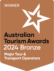 Bronze award badge